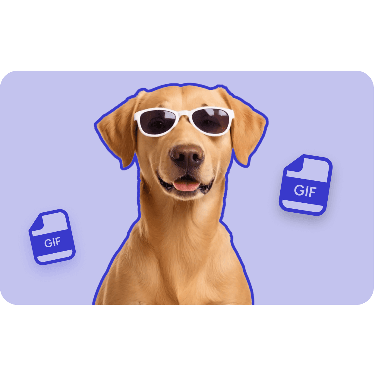 Creating memes & GIFs